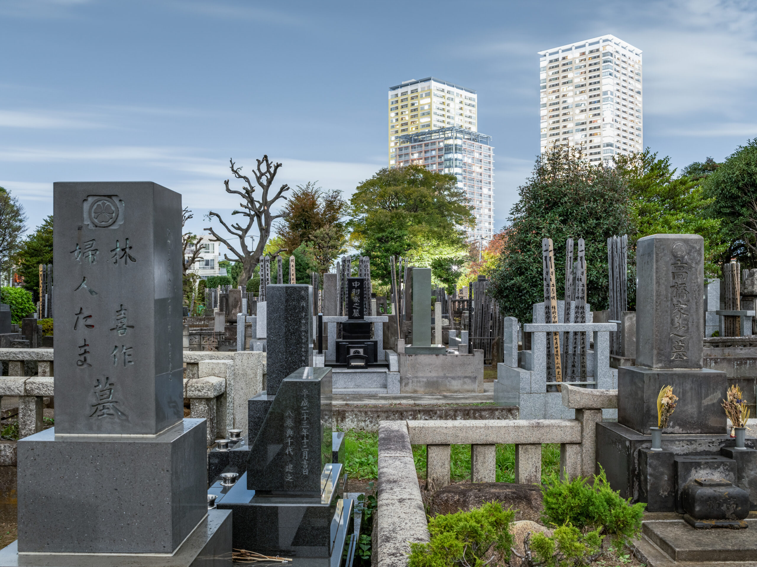 [(c)Maximilian Gottwald; Veroeffentlichung kostenpflichtig]