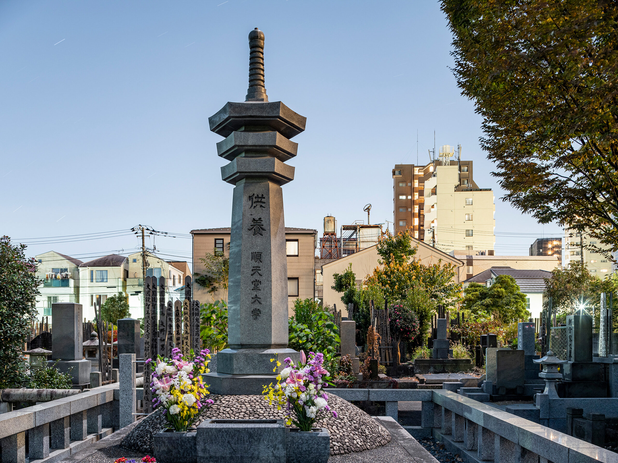 asian dusk - the empire of light