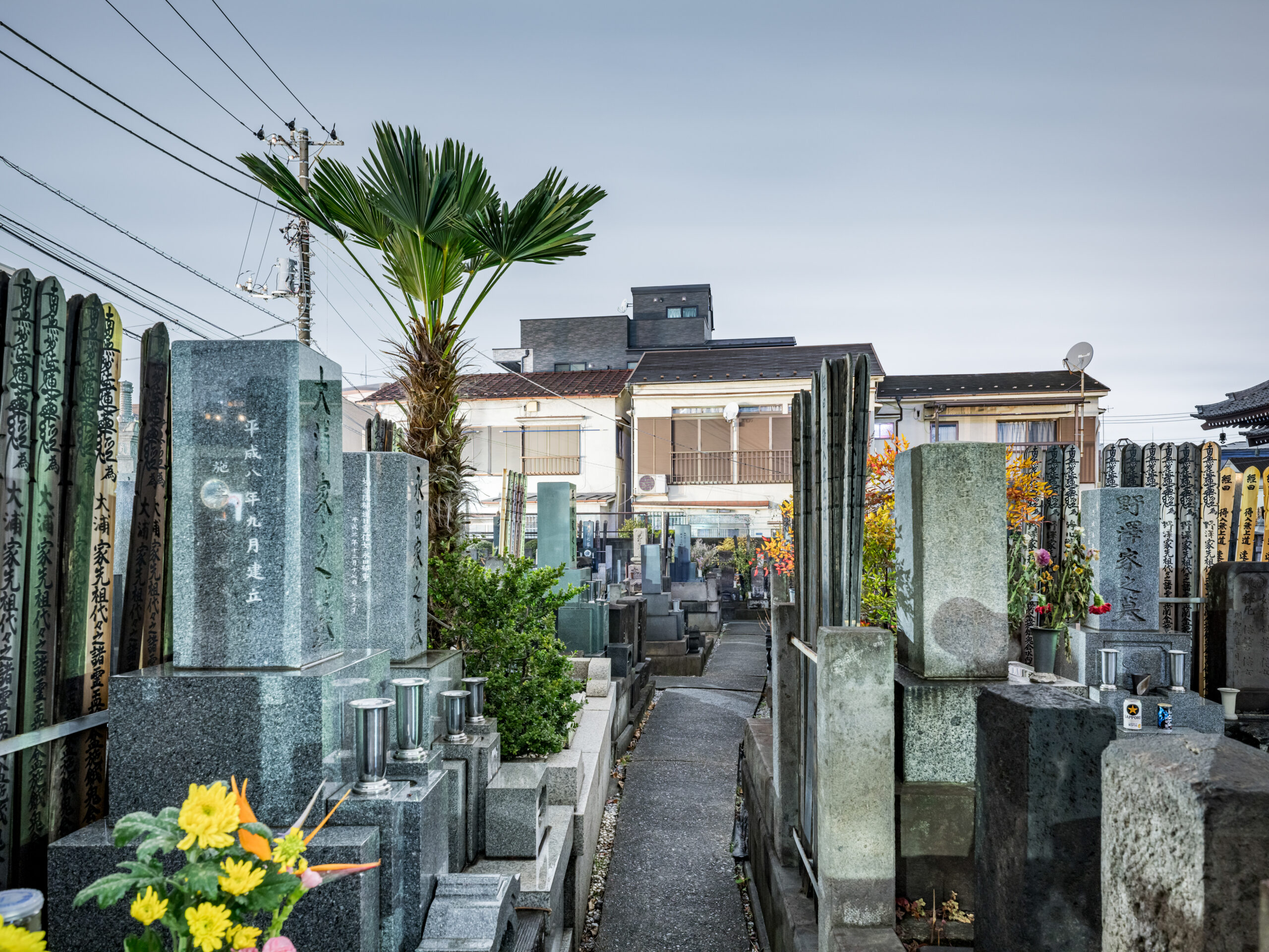 asian dusk, the empire of light, [(c)Maximilian Gottwald; Veroeffentlichung kostenpflichtig]